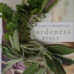 God's Word for Gardeners Bible in herbs