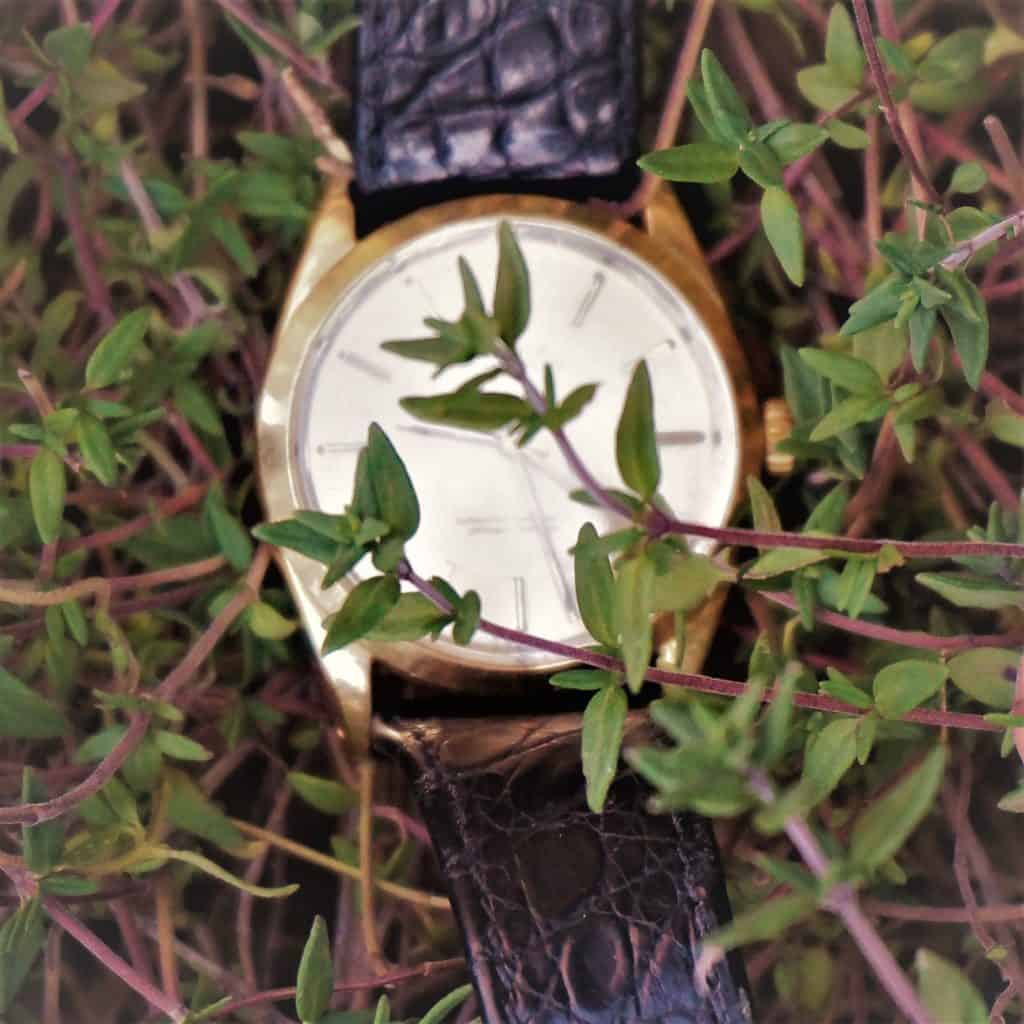 tell time by your garden with a watch in thyme