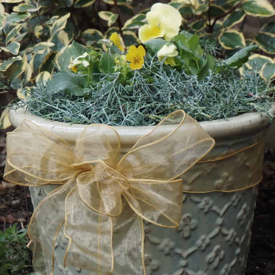 a bow tied on a garden pot reminds that the garden is full of gifts