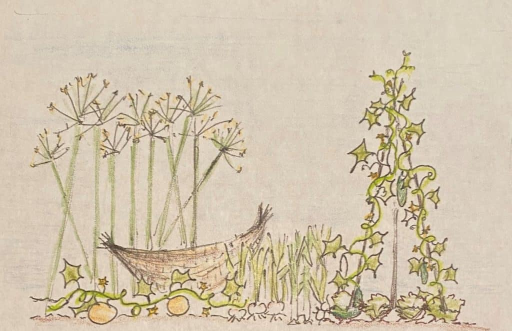 Moses murmuring vegetables, a sketch of plants in Moses leadership