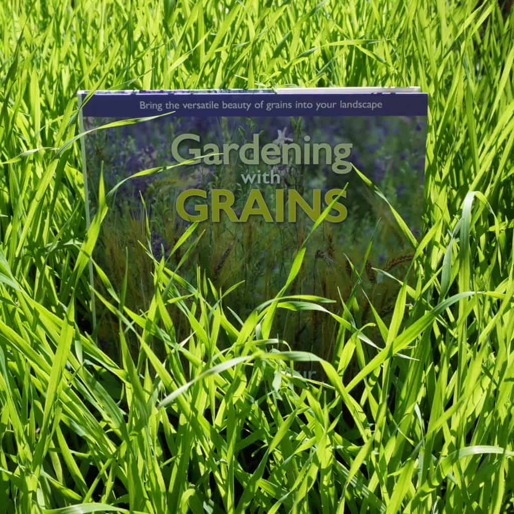 Brie Arthur's book Gardenin with Grains in a field of barley seedlings
