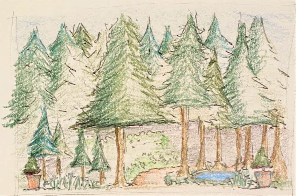 Isaiahs Evergreens sketch Prophets & Leaders Bible Garden Design