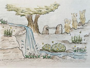 design sketch of Samuel's Rock Garden