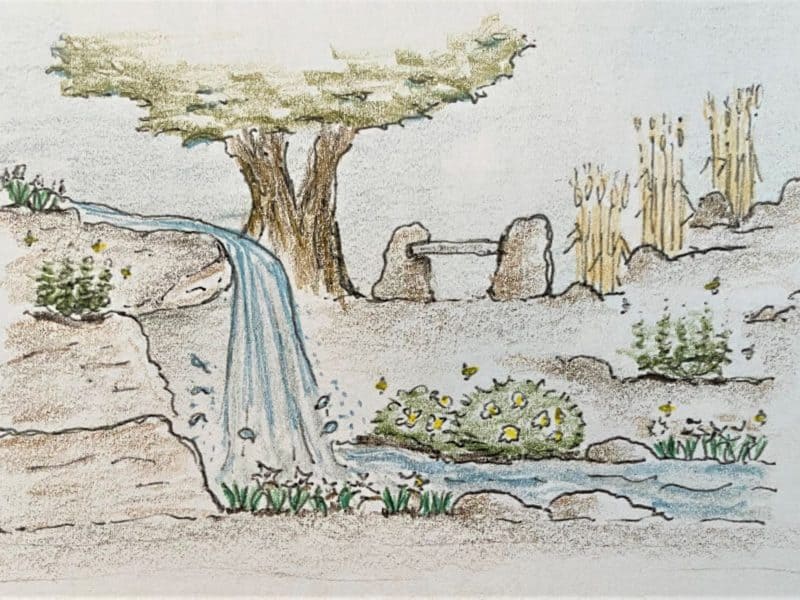 design sketch of Samuel's Rock Garden