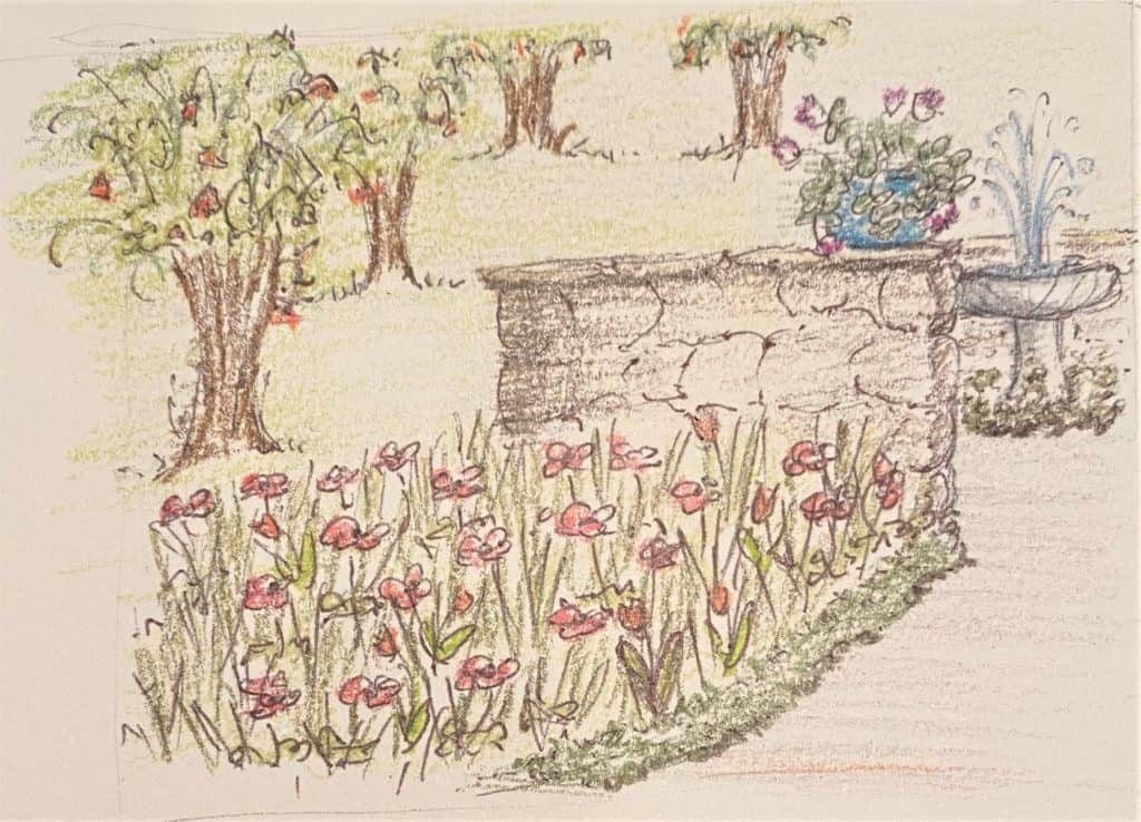 sketch of solomon's splendor with red wildflowers