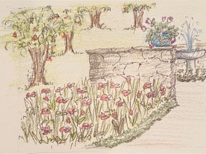 sketch of solomon's splendor with red wildflowers