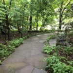 pathway created up through the forest to Washington National Cathedral