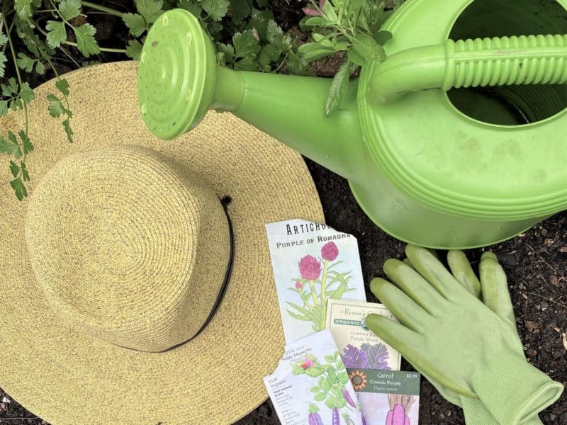 start a garden hat gloves watering can seeds