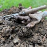 garden gloves and trowel for working the soil