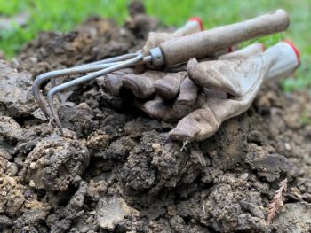 garden gloves and trowel for working the soil