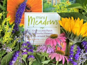 Mini-Meadows book cover covered in meadow flowers
