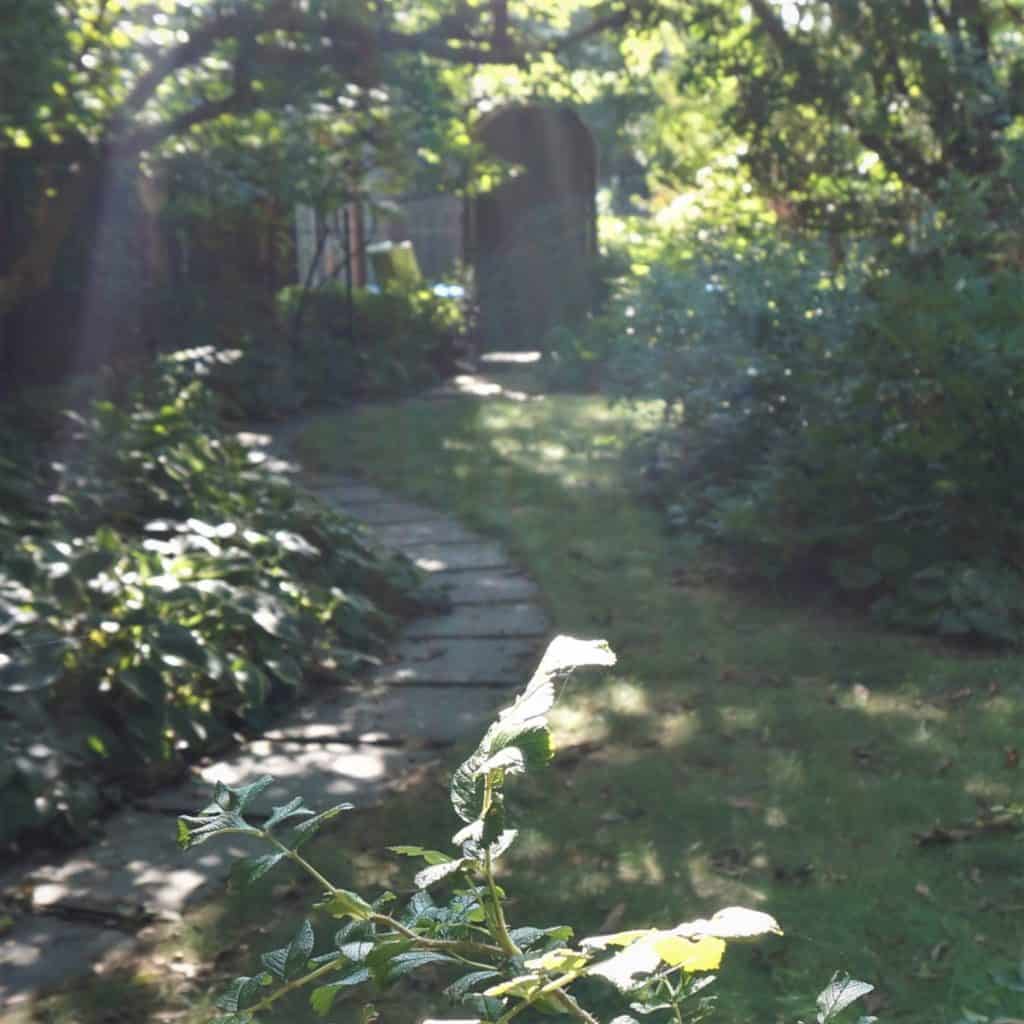 a shady path and garden gate for the Top 10 Gardening verses in the Bible