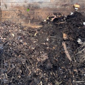 not-too-pretty view of a compost pile in process