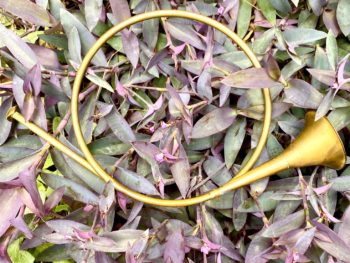fall feast begin with the Feast of Trumpets - like this decorative brass horn in a garden bed of wandering Jew