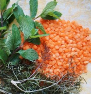 mint sprigs bronze fennel seedlings and red lentils ready for the stew pot