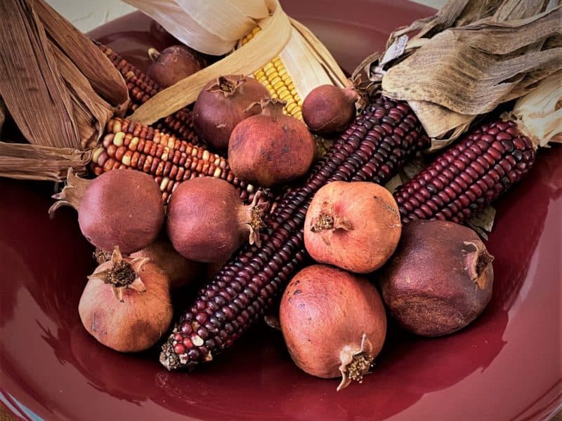 crimson bowl of dried corn and pomegraantes decorate a Thanksgiving table