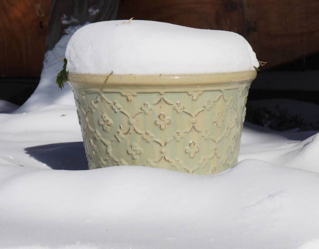 a snow covered garden pot sparkles the sunshine and beckons to find garden hope