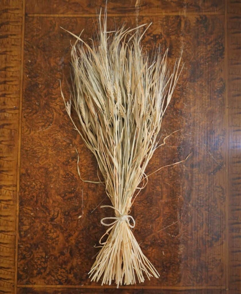 barley stalks bouquet