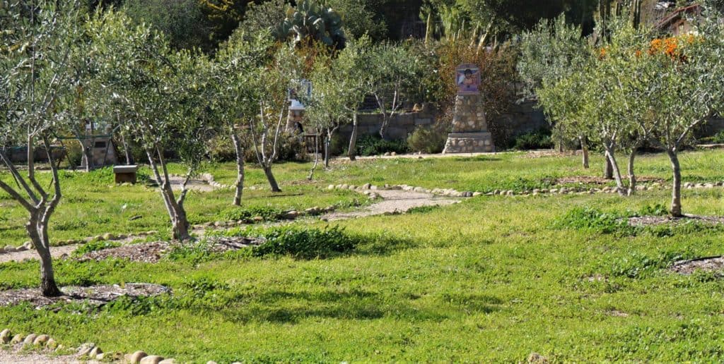 Station of the Cross surrounded by an olive grove lead visitors to hope in Christ