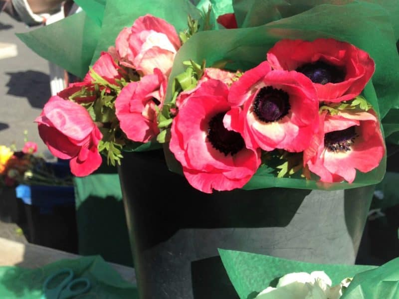 red crown anemone bouquets at a spring farmers market