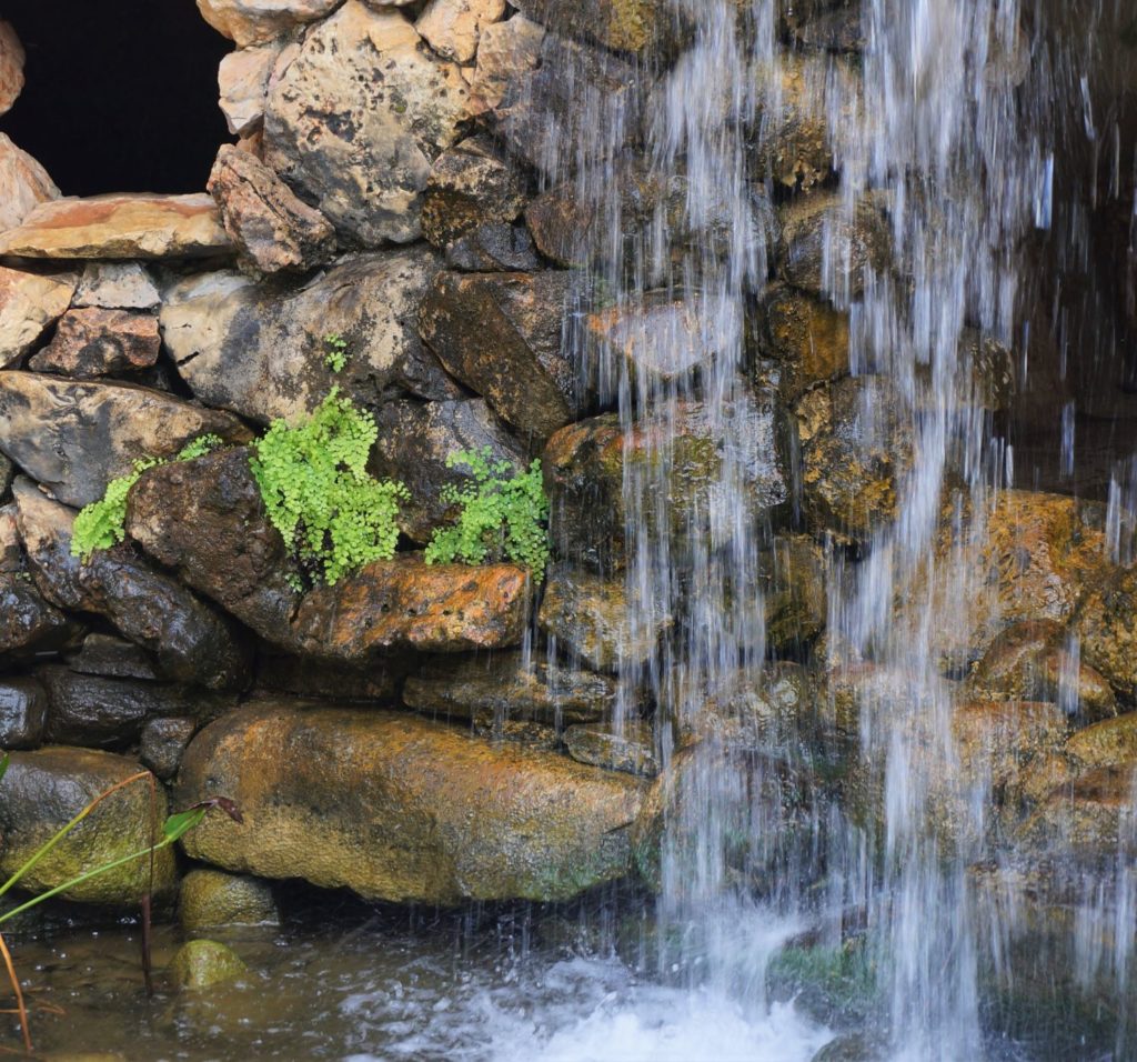 refreshing waterfall with maidenhair fern