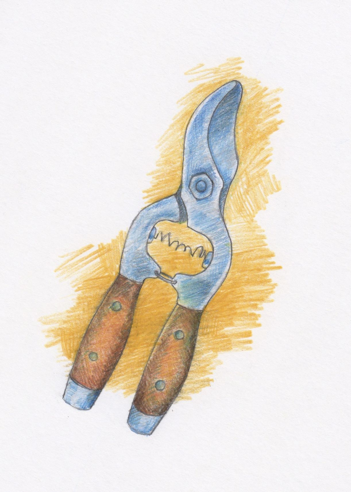"Pruners" a drawing by Layla Luna for the upcoming book, My Father is the Gardener