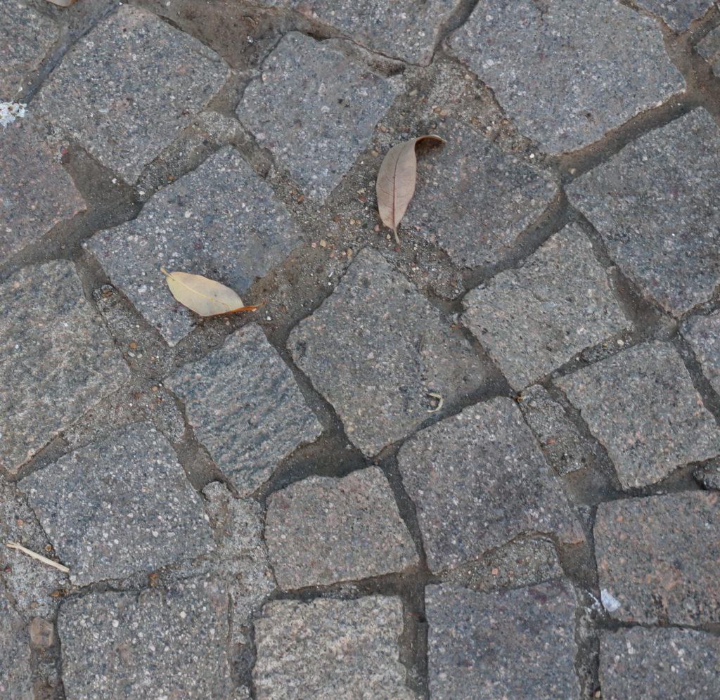 paving stones reflect humble places