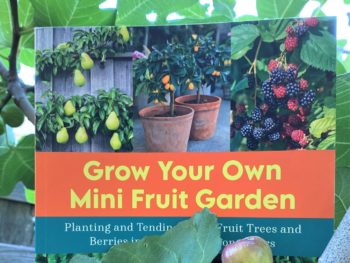 Grow Your Own Mini Fruit Garden book teaches to Be Fruitful