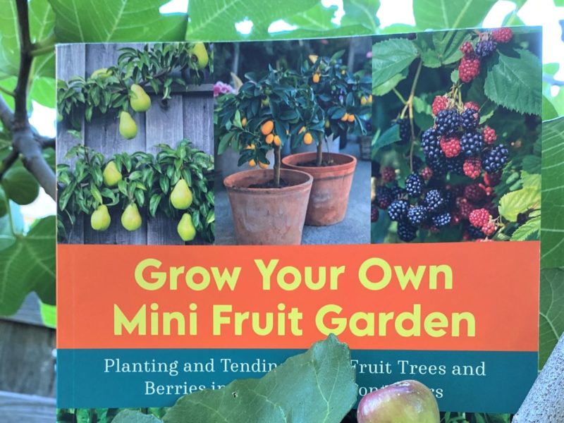 Grow Your Own Mini Fruit Garden book teaches to Be Fruitful