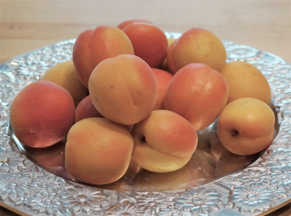 apricots piled high, filling a kitchen and preaching God's Word
