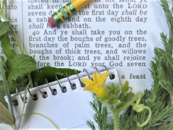 Bible plant lists from Leviticus 23:40 surrounded in greenery, pencil and pad ready