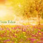 7 gardens from Eden to Revelation presentation image