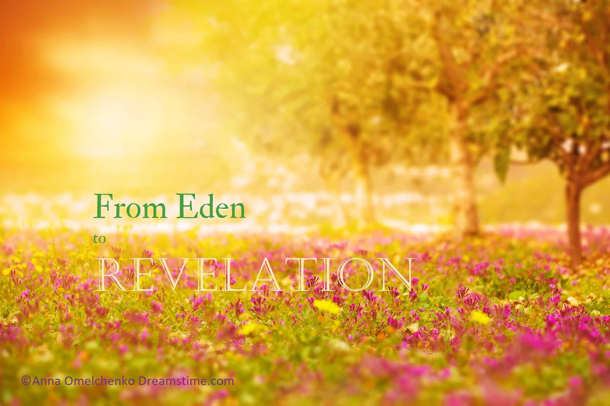 7 gardens from Eden to Revelation presentation image