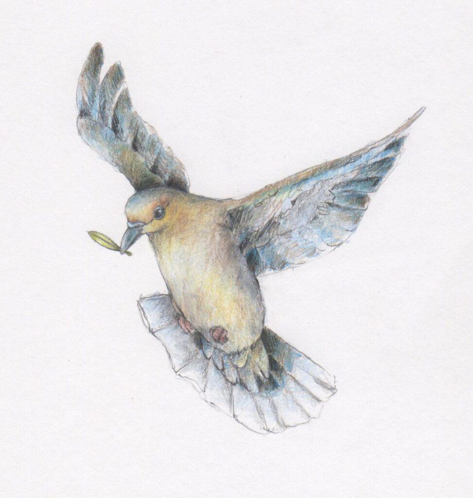 dove with olive leaf drawing by Layla Luna from My Father is the Gardener
copyrighted image permission reequired