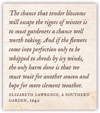 Elizabeth Lawrence quotation from My Father is the Gardener