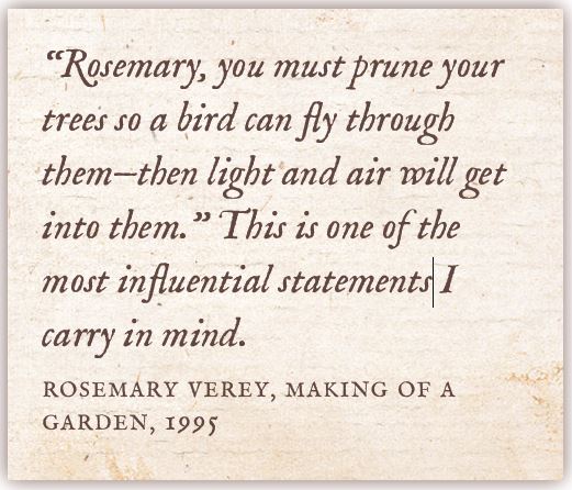 quotation by Rosemary Verey from My Father is the Gardener