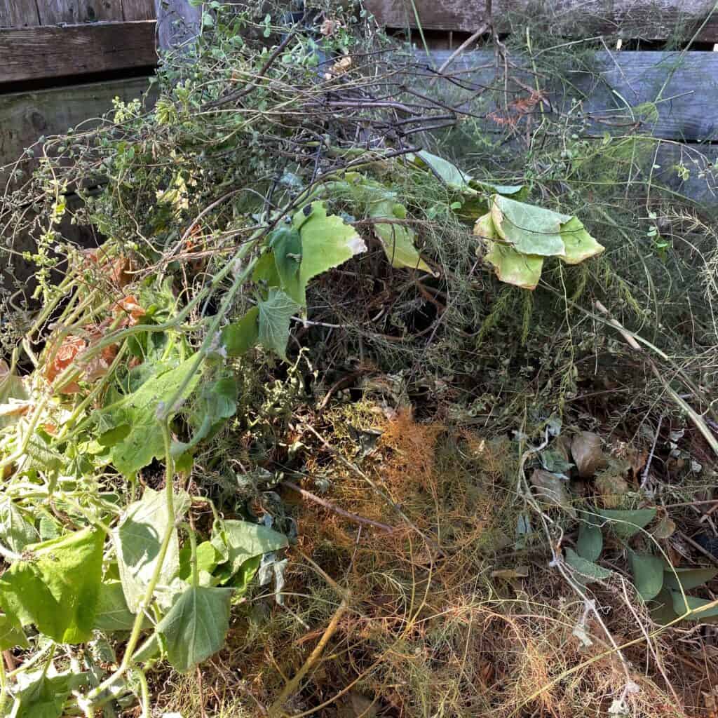 turning the compost pile - always a garden chores are metaphors moment