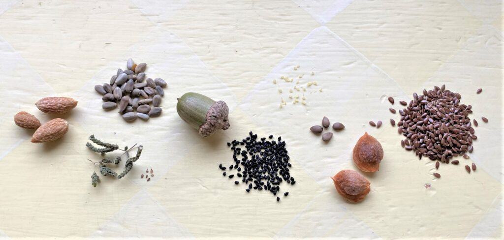 seeds in the Bible tableau