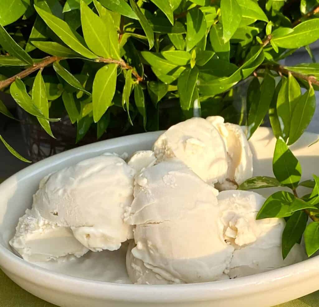 myrtle gelato with myrtle branches