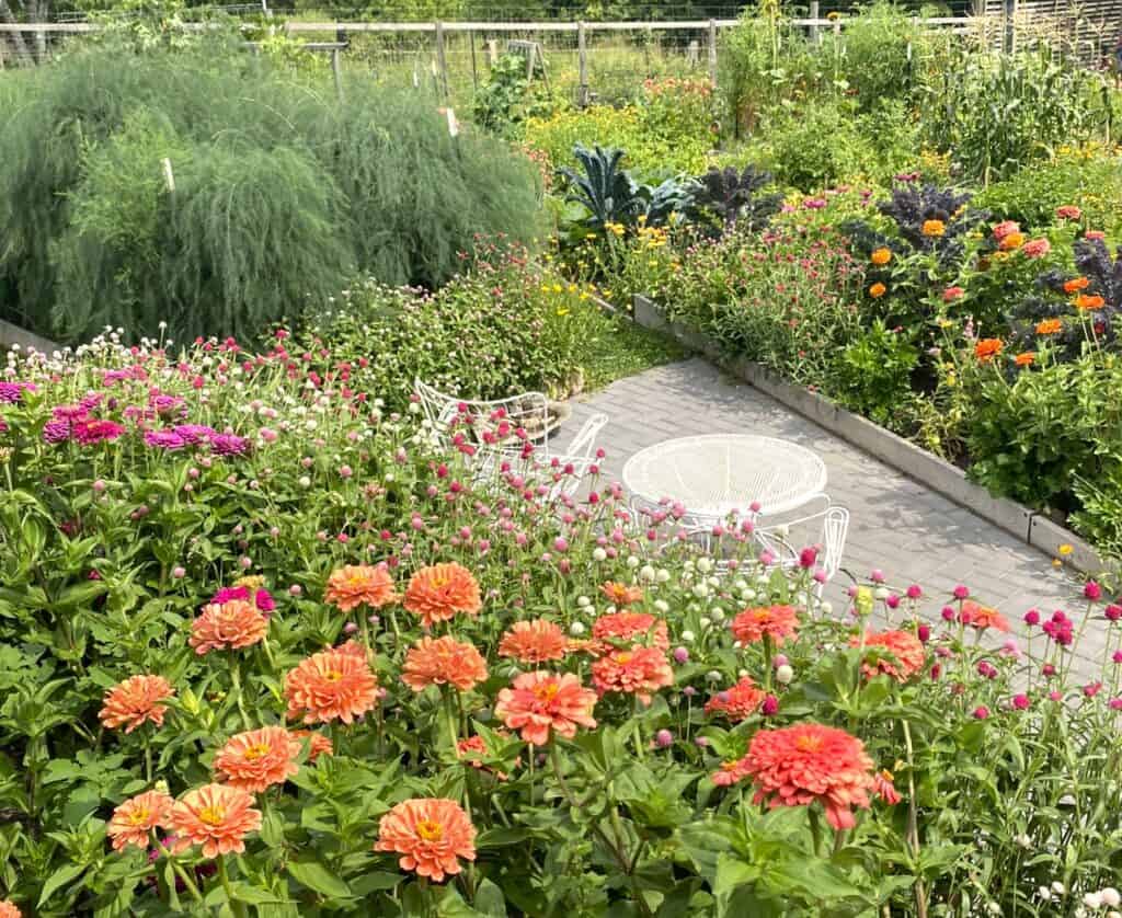 garden calling with flowers and vegetables in a Minnesota backyard
