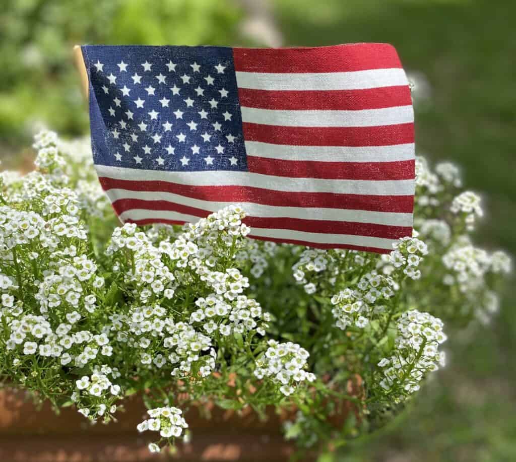 National Day of Prayer flag in alyssum garden pot