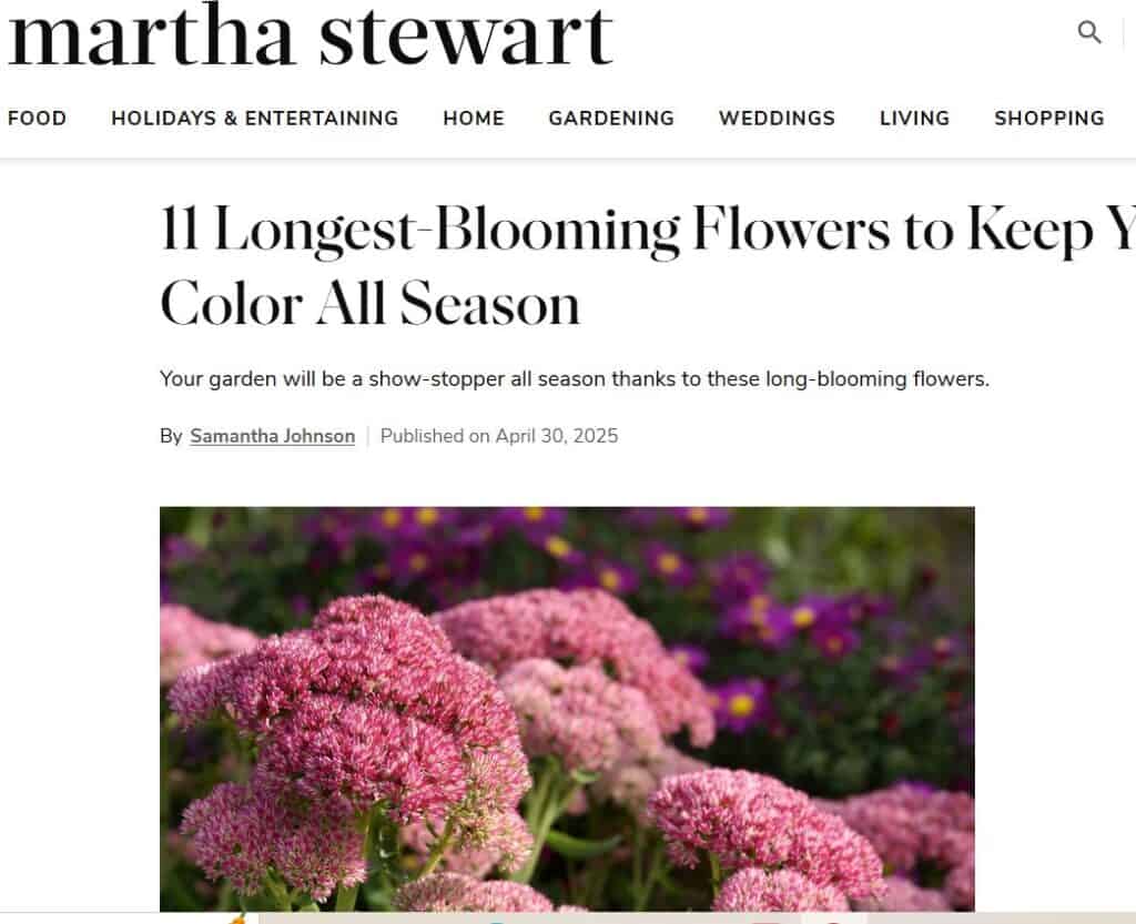 Martha Stewart Longest Blooming Flowers article screenshot