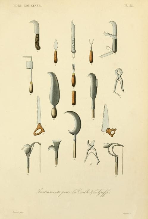botanical illustration of pruning knives by LeRegne Reveil, 1872 courtesy BHL Library