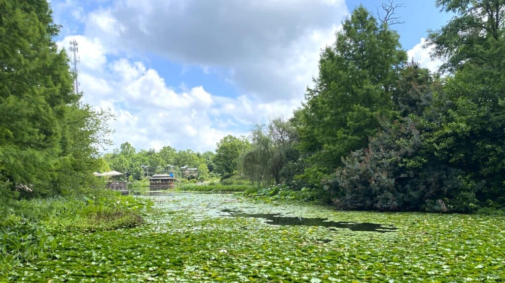 lake and lilies at Creation Museum Botanical Gardens in Petersburg, KY