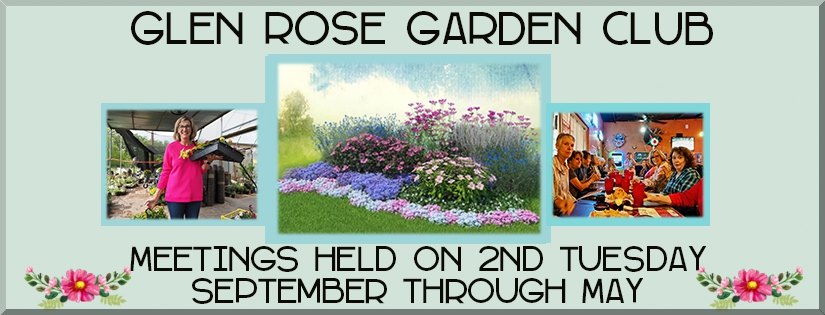 The Glen Rose Courtroom Annex