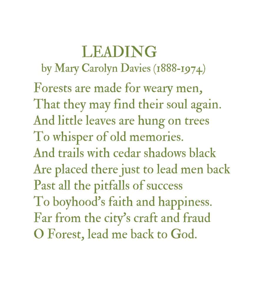 poem by Mary Caroyln Davies