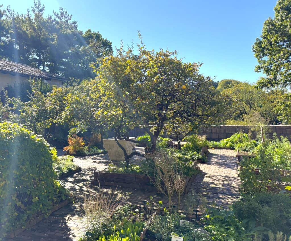 garden sanctuary in New York - view of Herb Garden at The Met Cloisters