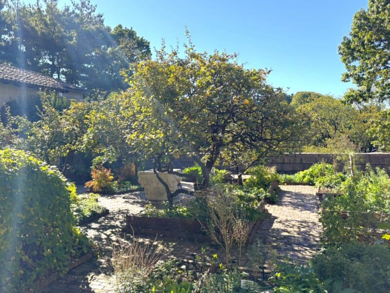 garden sanctuary in New York - view of Herb Garden at The Met Cloisters