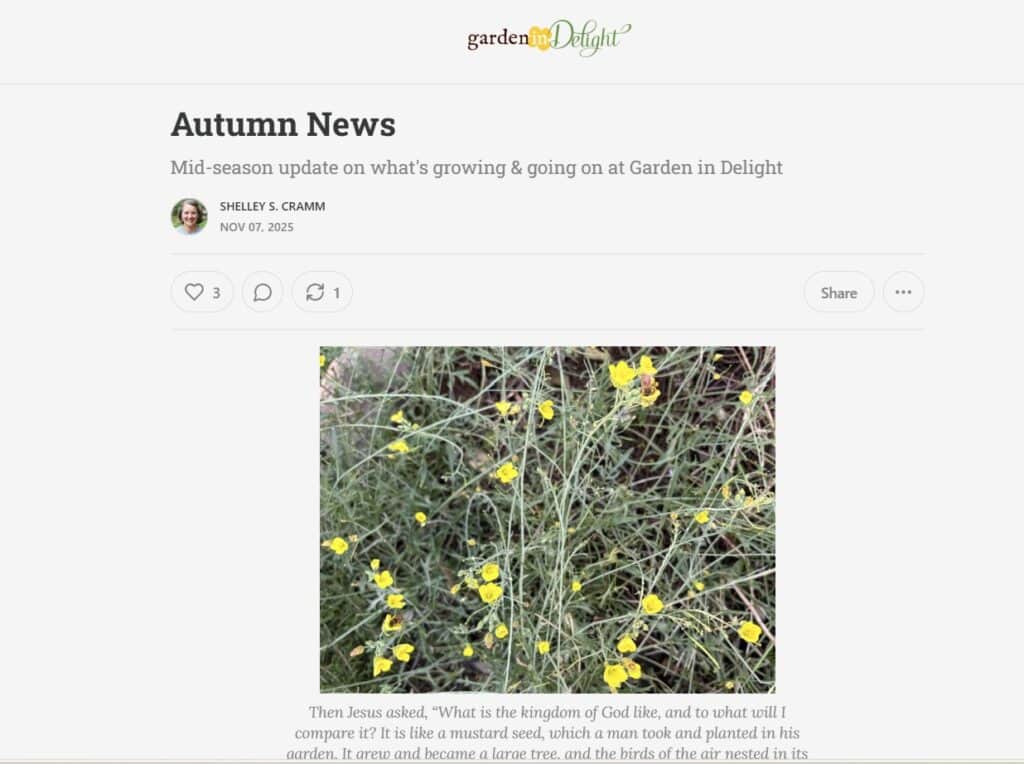Autumn News from Garden in Delight news on Substack 11-2025
