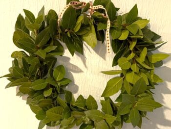 bay laurel holiday wreath
